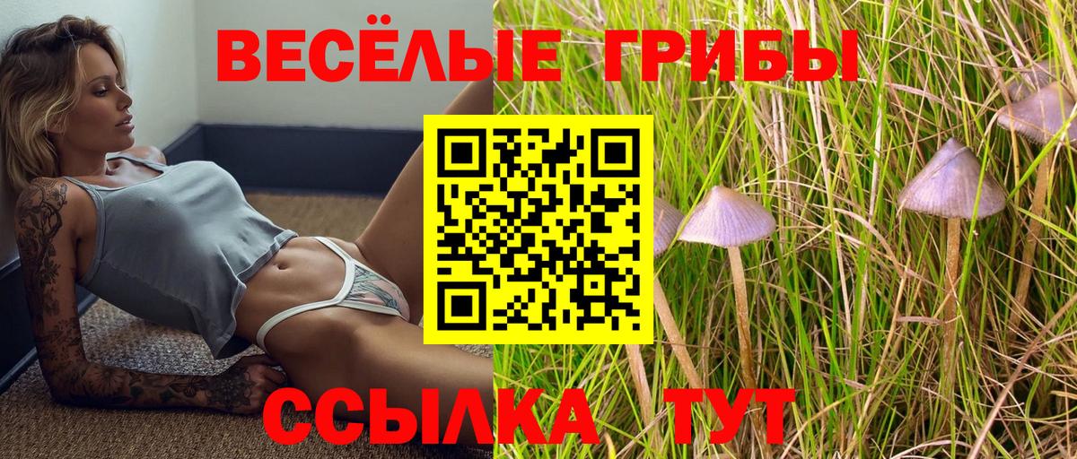 где купить   Псилоцибиновые грибы Psilocybine cubensis  Вход с VPN  Славянск-на-Кубани 