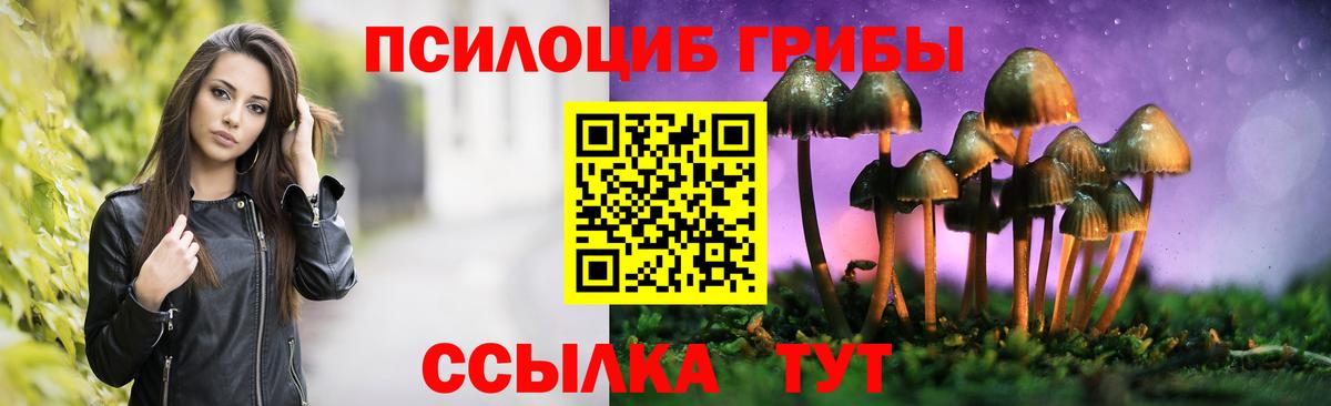 Галлюциногенные грибы ЛСД Славянск-на-Кубани
